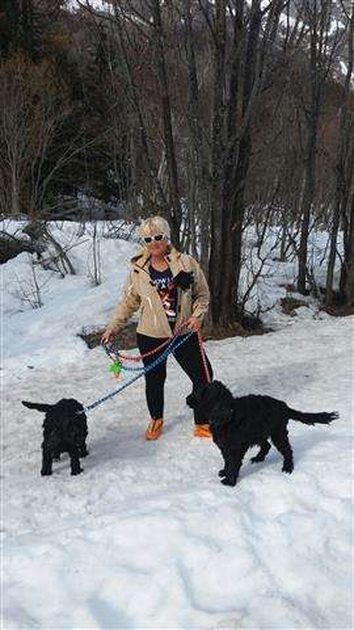 a day off with the dogs, Max and Peluche